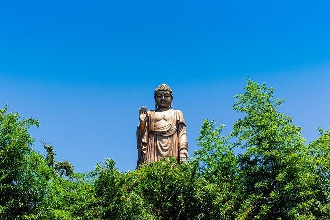 Private Wuxi Day Tour from Shanghai by Bullet Train - Practicalities and Value