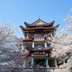 Private Wuxi Day Trip from Nanjing by Bullet Train - FAQ