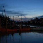 PrivateTour Kuala Selangor Firefly Blinkings & Silver Leaf Monkey - Final Thoughts: Who Is This Tour For?