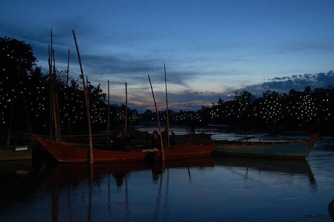 PrivateTour Kuala Selangor Firefly Blinkings & Silver Leaf Monkey - Final Thoughts: Who Is This Tour For?