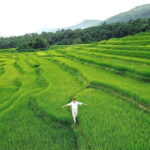 Pu Luong Nature Reserve 2 Days and 1 Night Tour - The Practical Side: Timing, Group Size, and Weather
