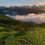 Pu Luong Nature Reserve & Ninh Binh Escape 3 Days Tour From Hanoi - Who Is This Tour Best For?