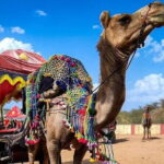Pushkar Cultural Day Trip from Jaipur - The Journey from Jaipur to Pushkar: What to Expect