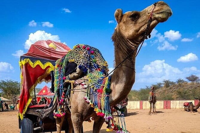 Pushkar Cultural Day Trip from Jaipur - The Journey from Jaipur to Pushkar: What to Expect