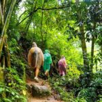 Rainforest Trekking in Kitulgala - Why This Tour Is Well Worth Considering