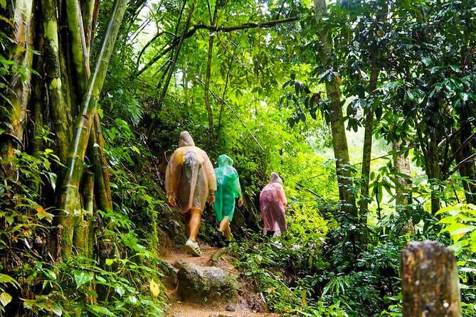 Rainforest Trekking in Kitulgala - Why This Tour Is Well Worth Considering