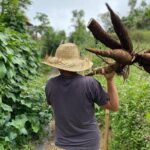 Real Bali Farm Cooking and Traditional Market Adventure in Ubud - Authenticity and Review Insights