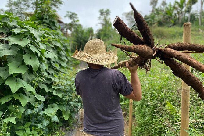 Real Bali Farm Cooking and Traditional Market Adventure in Ubud - Authenticity and Review Insights