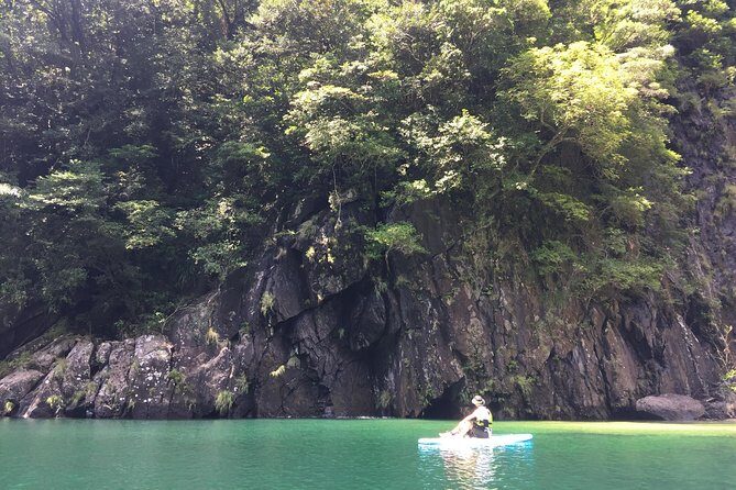 [Recommended on arrival date or before leaving! ] Relaxing and relaxing water walk Awakawa River SUP [Half-day tour] - Why Choose This SUP Tour in Yakushima?
