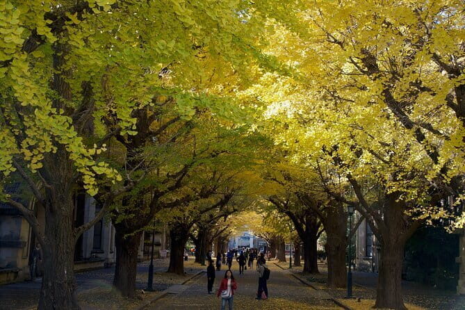 Red, Yellow and Brown - Visit autumn leaves spots in Tokyo - The Sum Up
