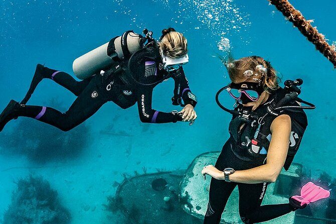 Redang Island Scuba Diving for Beginners - What the Tour Entails: A Step-by-Step Breakdown