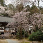 Relaxed Nara Tour from Osaka: Hasedera and Muroji Temples - What’s Included and What’s Not