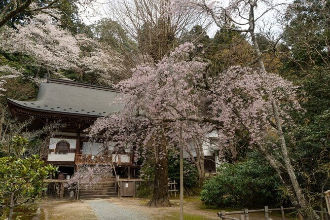 Relaxed Nara Tour from Osaka: Hasedera and Muroji Temples - What’s Included and What’s Not