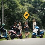 Rent motorbikes Ahungalla - What You Can Expect From Your Day on a Motorbike