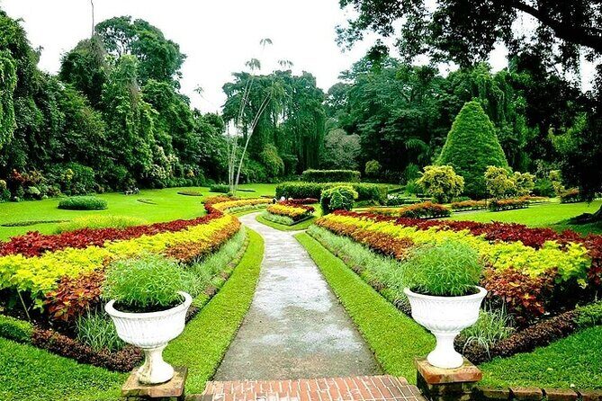 Return Airport Transfers & Kandy Day Tour From Colombo - What You Can Expect from the Experience
