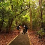 Ritigala, Kala Wewa and Namal Uyana from Habarana - Exploring Kala Wewa: A Testament to Ancient Engineering