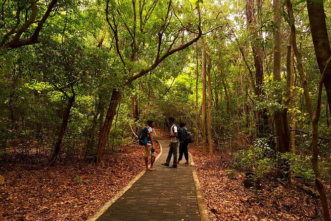 Ritigala, Kala Wewa and Namal Uyana from Habarana - Exploring Kala Wewa: A Testament to Ancient Engineering