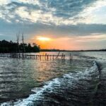 River Safari from Bolgoda Lake - Who Should Book This Tour?