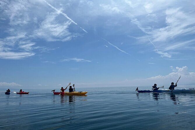 River to Sea Mutsu Bay Kayak Experience - The Sum Up