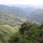 Romantic Tour in Zhanjiang - Who Will Love This Tour?