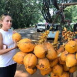Round tour in Sri Lanka 11daysby Aaliya Tours-Hotels with H/B - Frequently Asked Questions