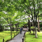 Rural Kyoto One Day Tour of a Tranquil Landscape in Ohara - What to Expect During the Day