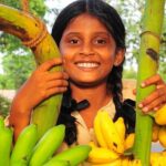 Rural Sri Lanka (13 N / 14 D) - Who Is This Tour Best For?
