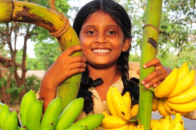 Rural Sri Lanka (13 N / 14 D) - Who Is This Tour Best For?
