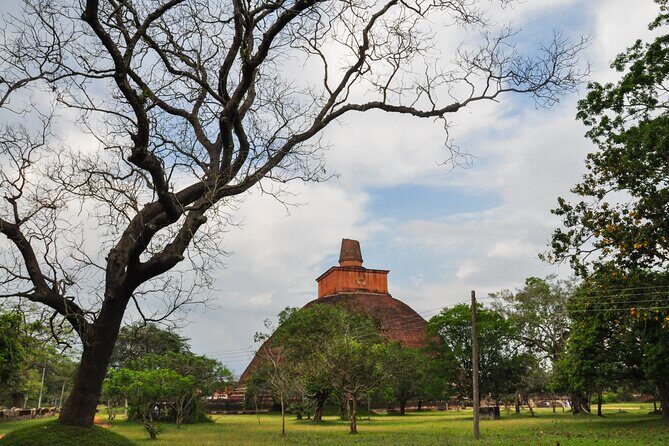 Sacred City of Anuradhapura from Sigiriya - Why Choose This Tour?