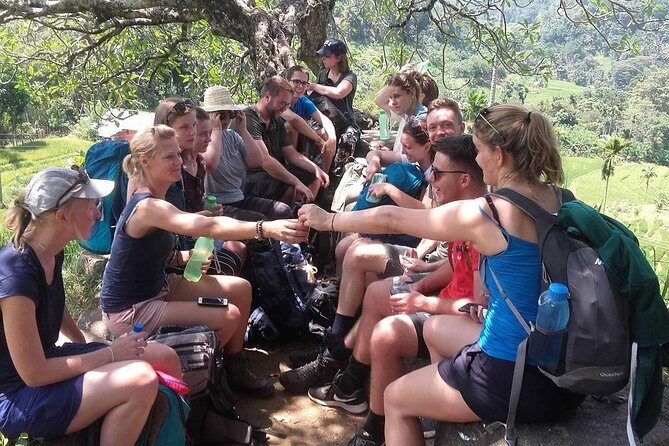 Safari Excursion tour (4 Days, 3 Nights) - What Travelers Are Saying