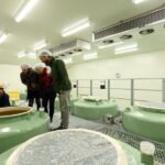 Sake Brewery Private Tour in Nagano - Who Would Love This Tour?