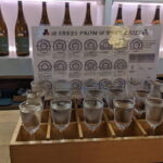 Sake Tasting Experience in Kyoto Fushimi - Who Will Love This Tour?