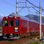 Sakura Magic and Nabana No Sato Day Tour From Osaka - Honest Takes from Travelers