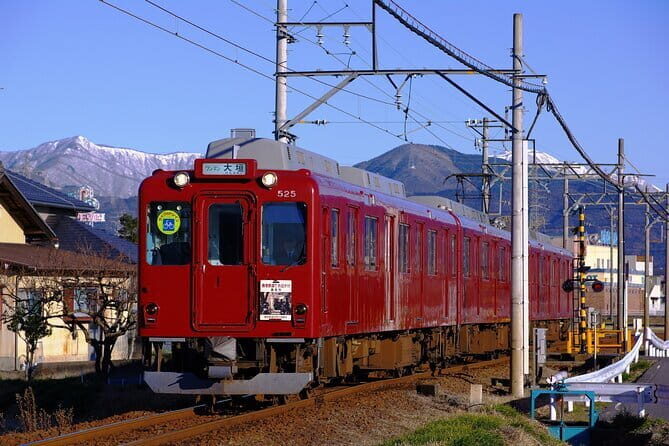 Sakura Magic and Nabana No Sato Day Tour From Osaka - Honest Takes from Travelers