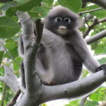 Sam Roi Yod National Park & Praya Nakhon Cave Private Tour - Who Will Love This Tour?