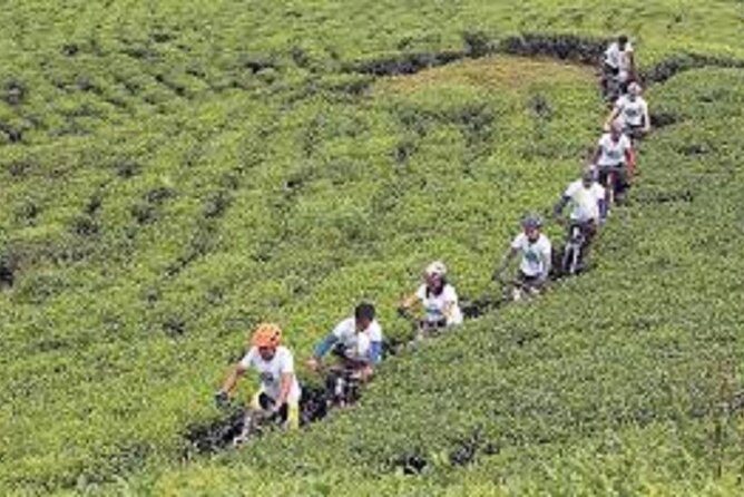 Samdakphu View trek - What Sets This Trek Apart