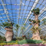 SandsSkyPark Gardens by the Bay & Singapore Flyer - A Closer Look at the Tour Experience