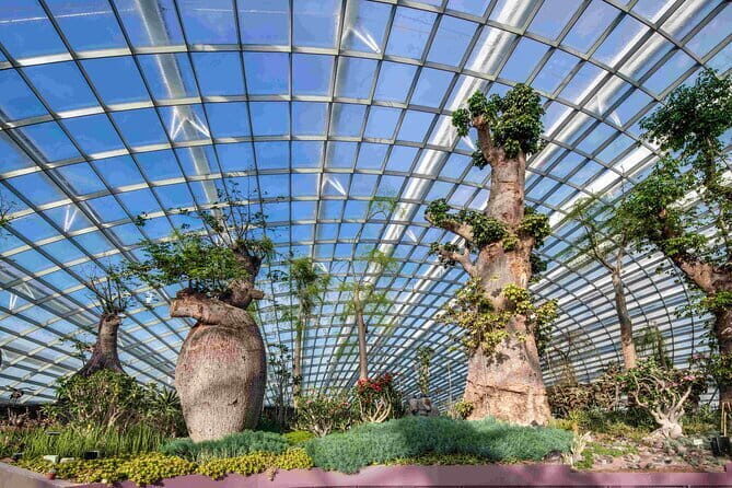 SandsSkyPark Gardens by the Bay & Singapore Flyer - A Closer Look at the Tour Experience
