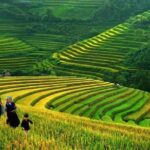 Sapa 2 Day Tour By Bus from Hanoi: Small Group; Trekking; Hotel; Express way - What’s Included & What’s Not