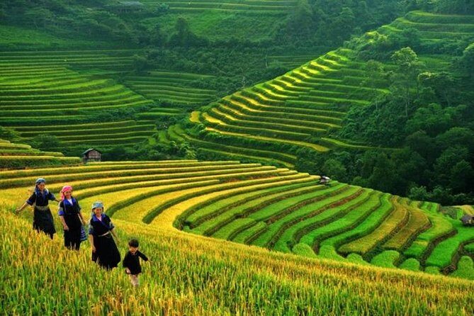 Sapa 2 Day Tour By Bus from Hanoi: Small Group; Trekking; Hotel; Express way - What’s Included & What’s Not