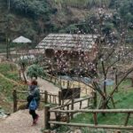 Sapa 2 Days 1 night By Bus/Train - Overnight in Hotel 3* With Mountain View - The Sum Up: Is It Worth It?