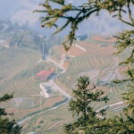 Sapa Full Day Trekking Through Rice Fields Terrace - A Detailed Look at the Trekking Experience