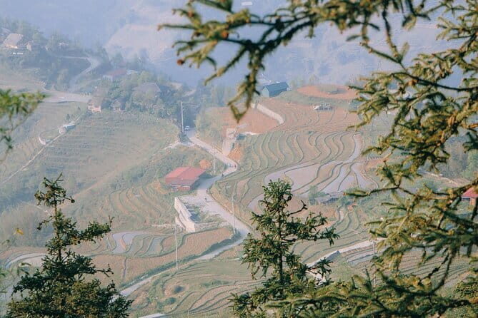 Sapa Full Day Trekking Through Rice Fields Terrace - A Detailed Look at the Trekking Experience