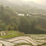 Sapa Half Day Hard Trekking Villages Trip with Lunch and guide - An In-Depth Look at the Sapa Trekking Experience