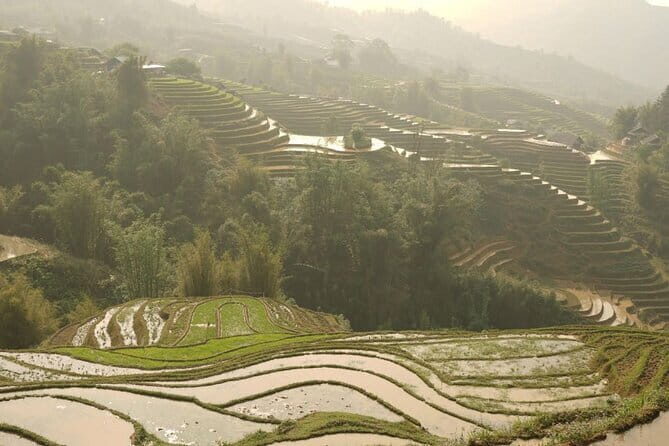 Sapa Half Day Hard Trekking Villages Trip with Lunch and guide - An In-Depth Look at the Sapa Trekking Experience