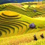 Sapa Trekking 2 Days 1 Night - A Detailed Look at the Sapa 2-Day Tour Experience