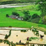 Sapa Trekking 2 Days 1 Night Transfer By Sleeper Bus - What’s Included and What’s Not