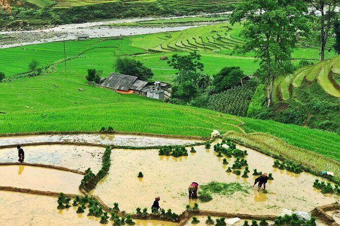 Sapa Trekking 2 Days 1 Night Transfer By Sleeper Bus - What’s Included and What’s Not