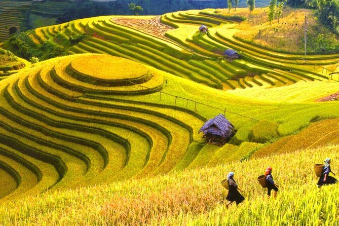 Sapa Trekking 2 Days 1 Night - A Detailed Look at the Sapa 2-Day Tour Experience