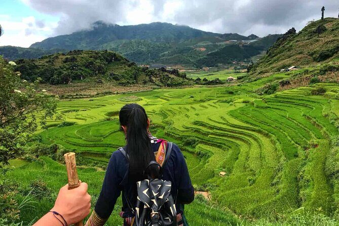 Sapa Trekking 2days,1 Night Go by Bus - Authentic Experiences and Tips from Travelers
